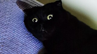 كل شيء أسود ولا أستطيع رؤية أي شيء! حقًا...