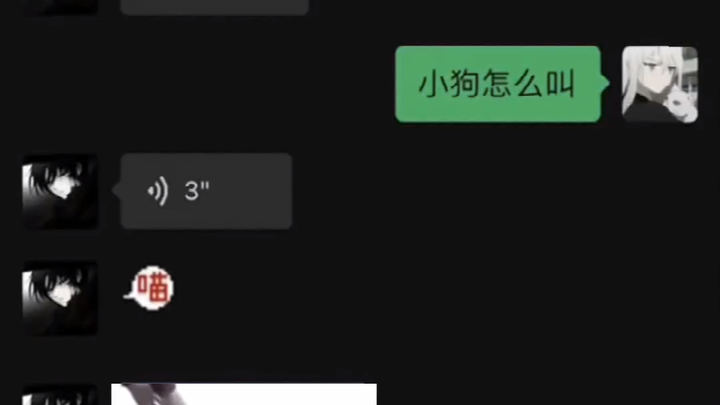 Mèo con kêu như thế nào