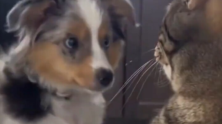 This is the cutest scene in the world!