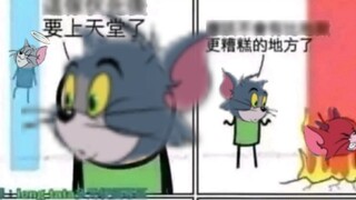 Still some cat and mouse * pictures