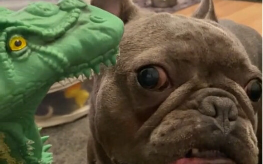 ماشي، عمومًا متكاسل عن الحركة anyway.