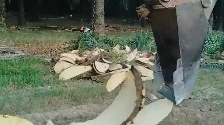 Suara berdentang-denting ini benar-benar melepaskan stres