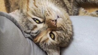 "Mom, I'm Hungry and Hugging You"