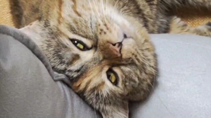 แม่ หนูหิวแล้ว