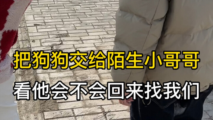 Sau khi nuôi chó con, tâm trạng cứ như đi tàu lượn siêu tốc vậy!