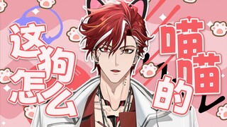 不会学喵叫的小狗不是好小狗🐕“我们一起学喵叫!“【吕和今|直播切片】