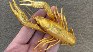 Saya pikir udang karang telah bermutasi menjadi emas.
