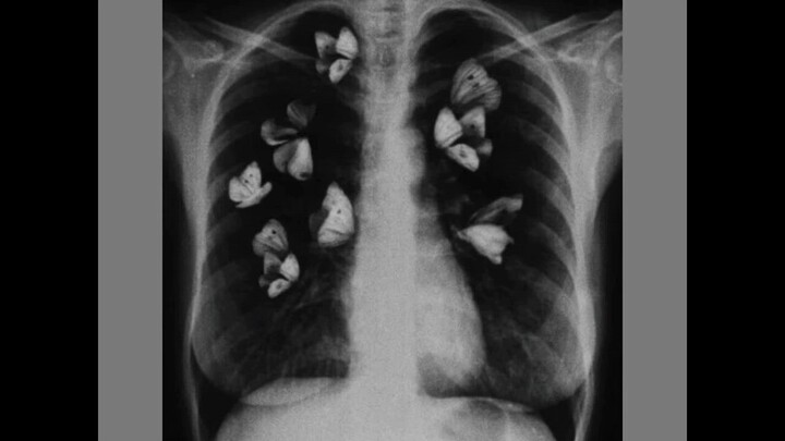 (only love can hurt like this)-by paloma faith