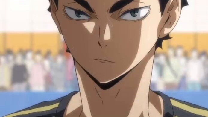 [Haikyuu!] Top-notch setter trainer! He can train anything that flies, runs, or swims!