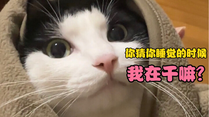 Tôi không hiểu nổi... cô ấy ăn cỏ bằng cách nào. Nếu không phải do dương, sao cô ấy lại bị sốt?