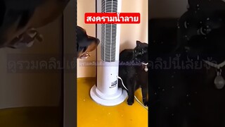 ^ดูรวมคลิปชุดนี้เต็มกดลิงค์ด้านบนเลยจ้า^ สงครามน้ำลาย
