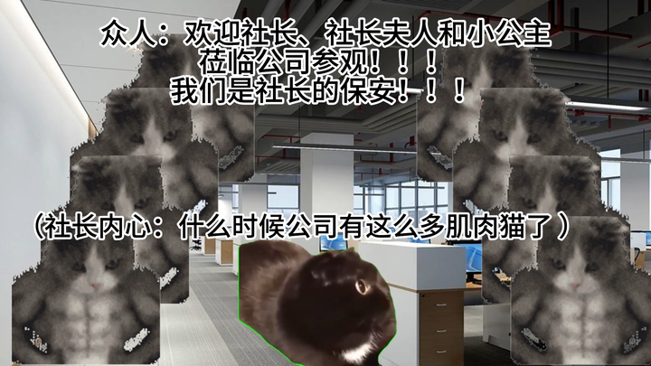 【Meme kucing】Wibawa Presdir Schrödinger (Bagian Bawah)