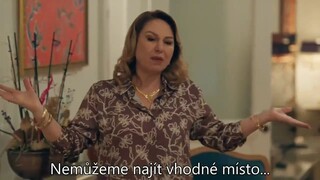 Ley29