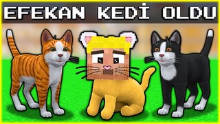 EFEKAN KEDİYE DÖNÜŞTÜ! 😱😺 - Minecraft