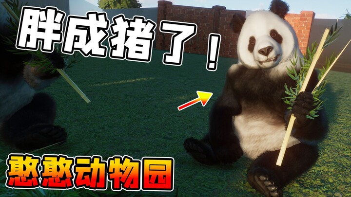 You look just like a panda, you pig! [Silly Zoo]