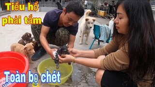 Tiểu Hổ Tắm Ngày Giá Rét| Săn Bắt Ẩm Thực Vùng Cao Tặng Đại 87 Chăm Sóc.Hồi Ức…!