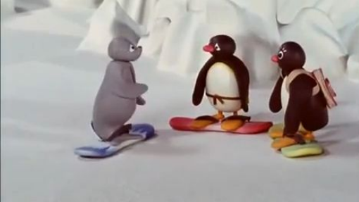 PINGU - pack-6