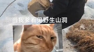 柯南来了也破不了