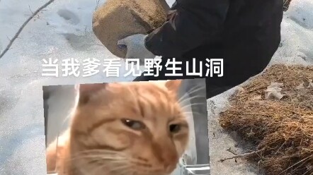 柯南来了也破不了