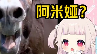 Japanese Lolita was scared by animals eating dry food after watching "One Second Later, You'll Starv