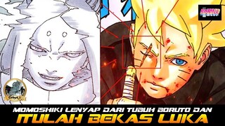 MOMOSHIKI LENYAP DARI TUBUH BORUTO DAN ITULAH BEKAS LUKA DIMATA BORUTO