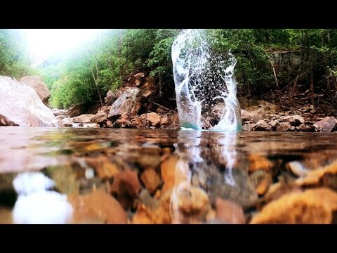 Relaxed Music Deep Forest - Relax, Chill, Nature 🌿