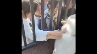 耶耶在一声声赞美中逐渐迷失自我