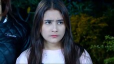 329 Ganteng-Ganteng Serigala