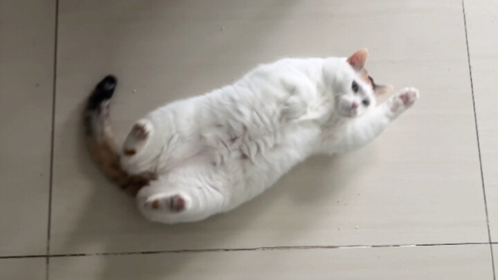 Khi nó vì đang ngủ trong chăn mà bỏ lỡ khoảnh khắc đón tôi về nhà