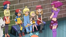 Pokémon the Series XY EP8 Merias Furfrou! Pokémon Indonesia