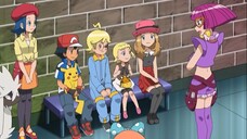 Pokémon the Series XY EP8 Merias Furfrou! Pokémon Indonesia