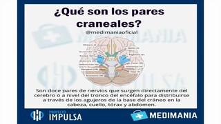 Un resumen de los pares craneales