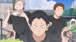 [Volleyball Boy] Fukunaga, a radio-type cat