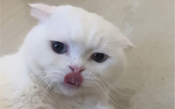 Every time I take Skye out, he's extra clingy!