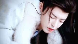 Please, please let Baili Dongjun go.