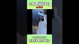 รวมคลิปฮา พากย์นรก #short #easyboy #คลิปฮา #เบสไวน์