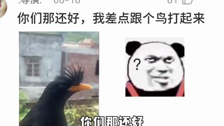 Tôi phải làm gì nếu một con cú nhìn trộm tôi khi tôi đang đi vệ sinh? Cư dân mạng: Bạn nghĩ quá rồi,