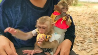 Snack Time!! Little Toto & Yaya enjoys eating banana & happily playing outside together