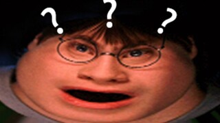 Apa kau pernah melihat Harry Potter yang begitu autotune remix?