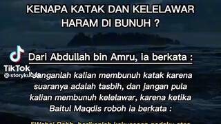 KENAPA KATAK DAN KELELAWAR HARAM DI BUNUH?