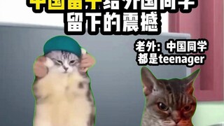 【Cat meme】No wonder foreigners always think Chinese people are teenagers.