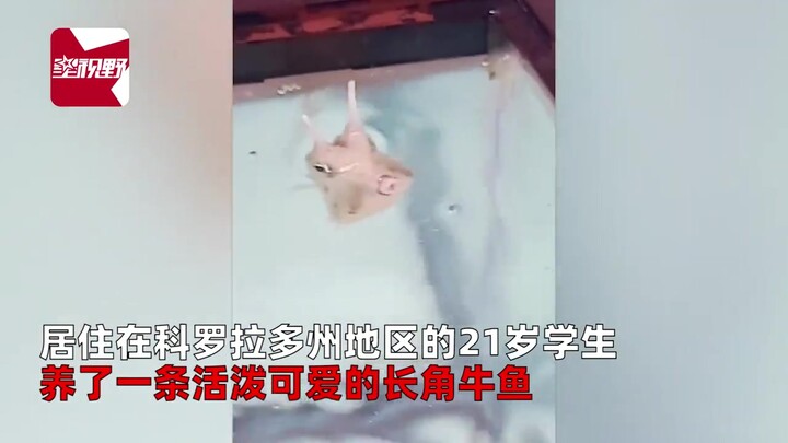 Shoes in the room keep getting mysteriously wet—then the guy spots something shocking by the fish ta