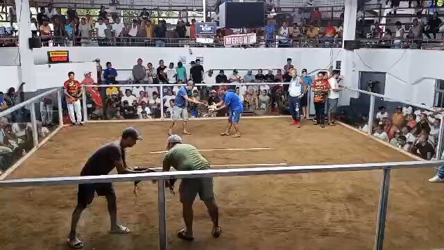 4bullstag derby .july1  2026.win