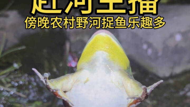 The weather’s been way too hot—there’s hardly any water in the river, and there are far fewer big fi