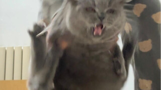 Langsung lepas landas