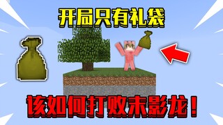 当开局出生在我的世界空岛，只有礼袋！该如何打败末影龙！