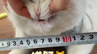 真相只一个