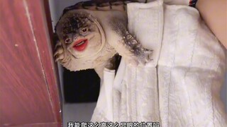 这不是我的极限