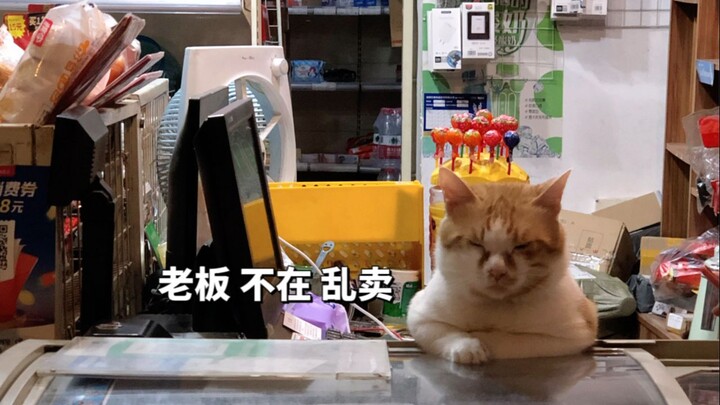 “I don’t know. The boss isn’t here, so everything’s being sold haphazardly.”