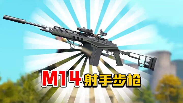 Dùng giải pháp cháo bát bảo để tân trang một khẩu M14 có thể dọn sạch bản đồ không?
